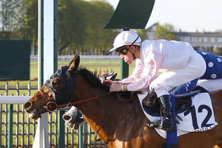 Actualités Hippiques